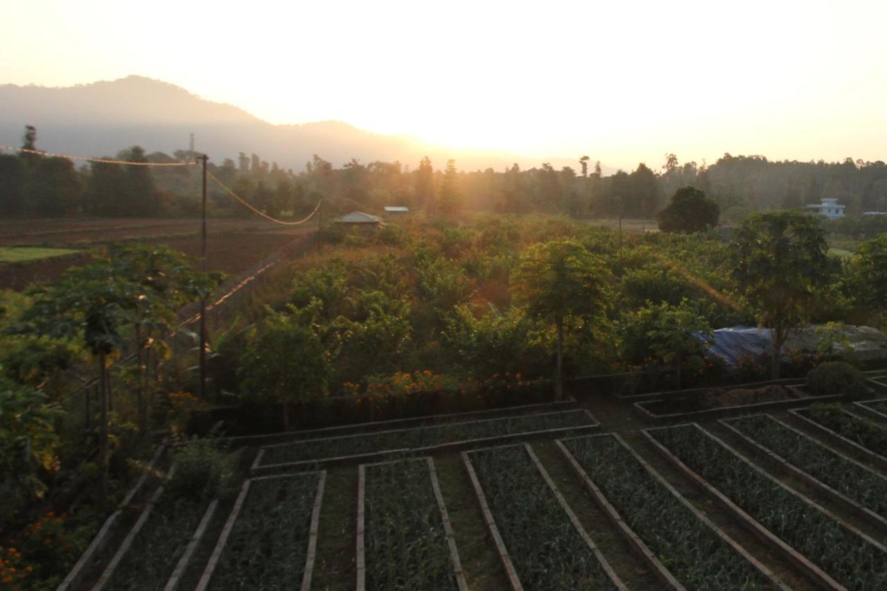 Forest Side Farm - Homestay At Kotabagh Near Nainital And Jim Corbett Dış mekan fotoğraf