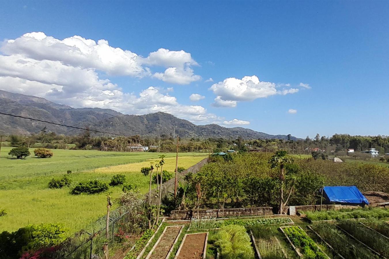 Forest Side Farm - Homestay At Kotabagh Near Nainital And Jim Corbett Dış mekan fotoğraf